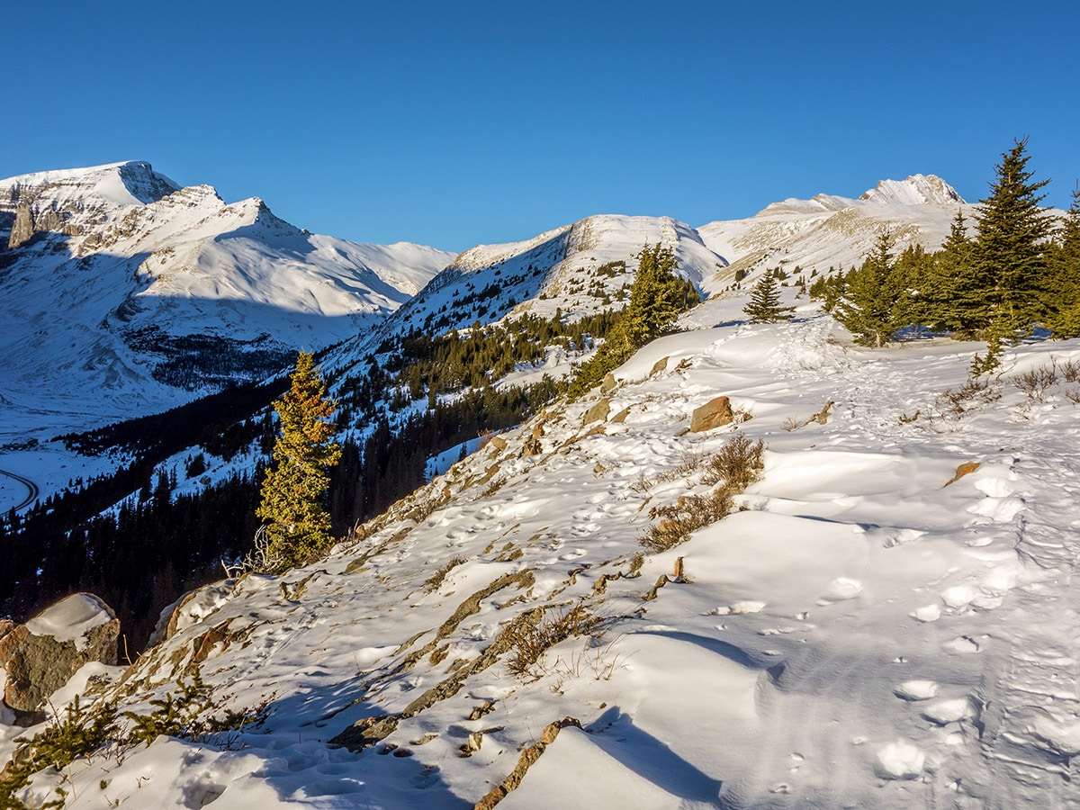 Stunning views from Wilcox Pass snowshoe trail Banff National Park