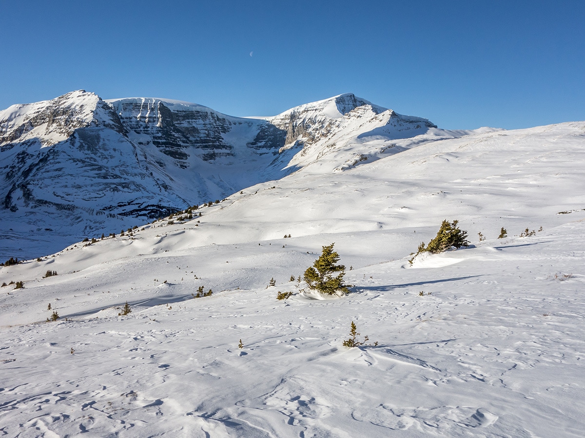 the Canadian Rockies from Wilcox Pass snowshoe trail Banff National Park