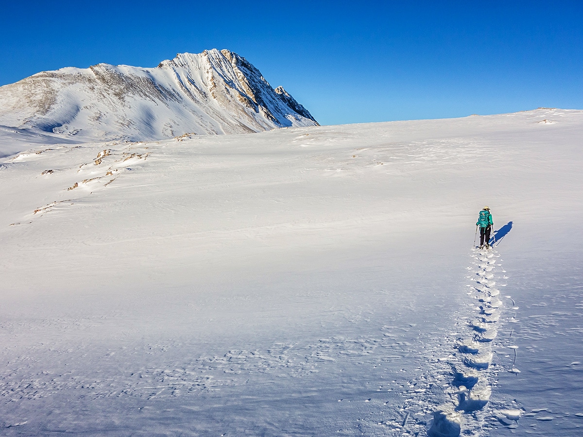 Heading upon Wilcox Pass snowshoe trail Banff National Park