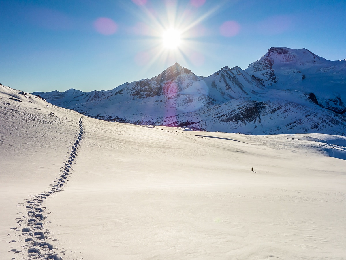 Looking back at Mount Athabasca from the Wilcox Pass snowshoe trail Banff National Park