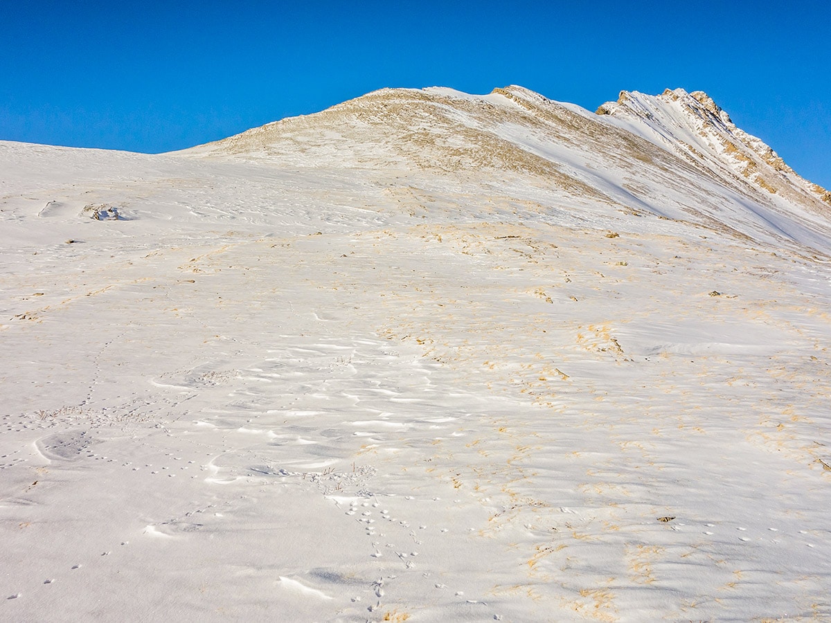 The walk up the shoulder of Mount Wilcox on Wilcox Pass snowshoe trail Banff National Park