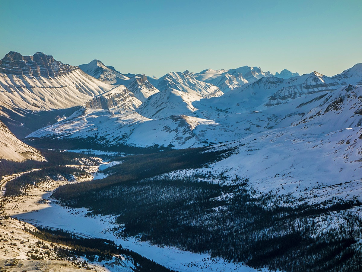 Looking down on Parker Ridge from the Wilcox Pass snowshoe trail Banff National Park