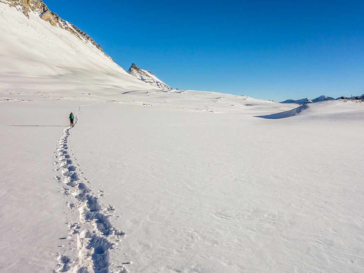 Trail of Wilcox Pass snowshoe in Banff National Park