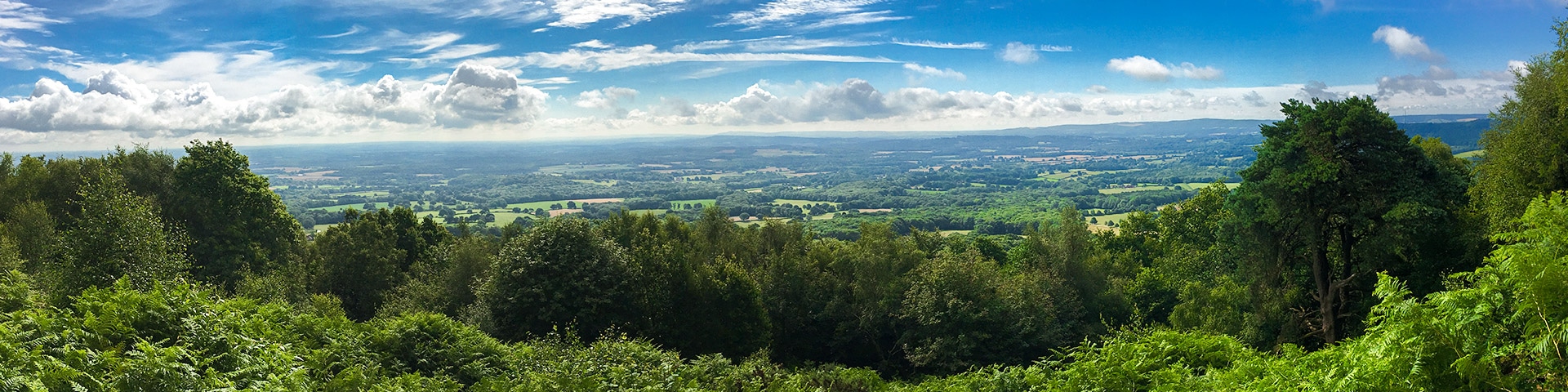 Best hikes in South Downs, England
