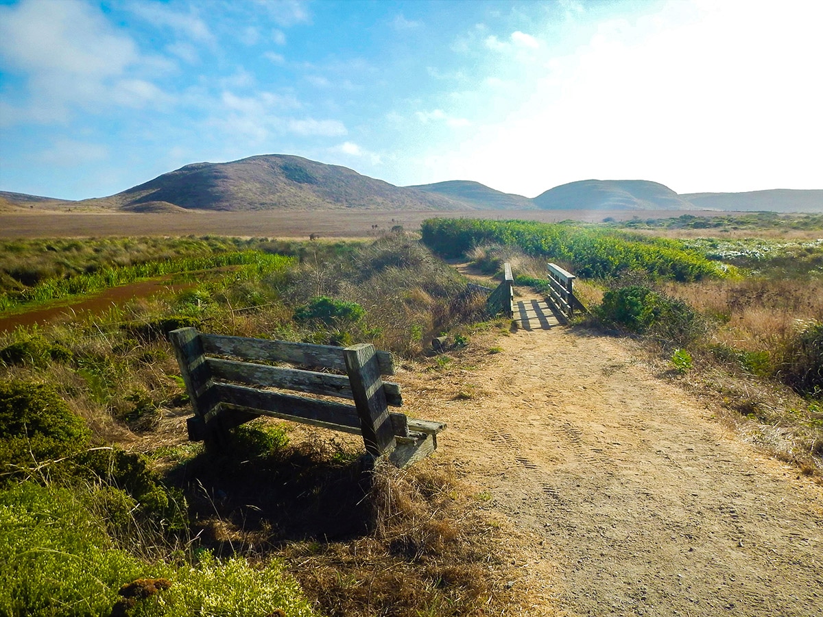 Bird watching bench on Abbotts Lagoon hike in North Bay of San Francisco, California