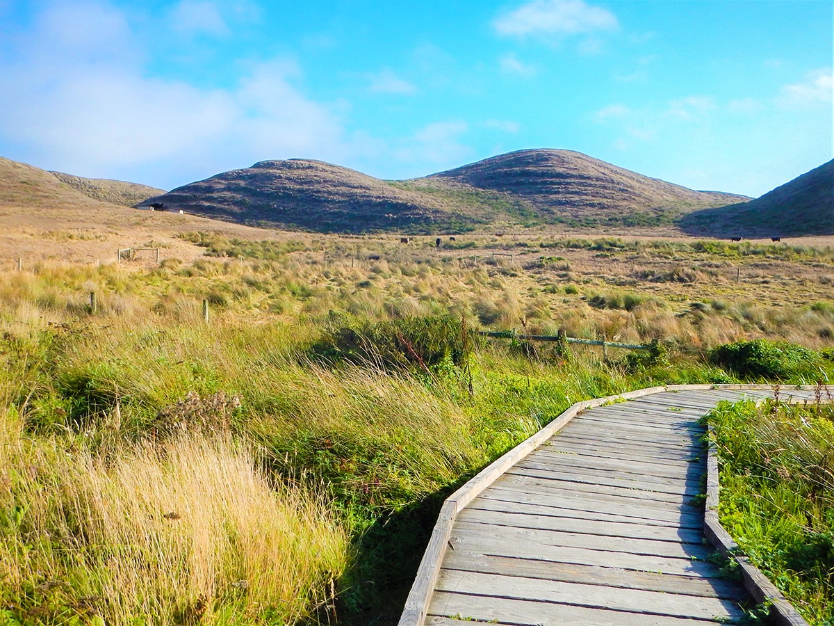 Boardwalk over the marsh on Abbotts Lagoon hike in North Bay of San Francisco, California