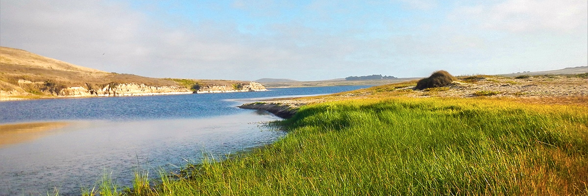 View of Abbotts Lagoon hike in North Bay of San Francisco, California