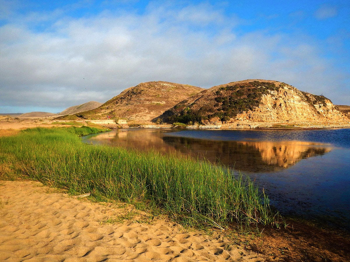 Shoreline on Abbotts Lagoon hike in North Bay of San Francisco, California