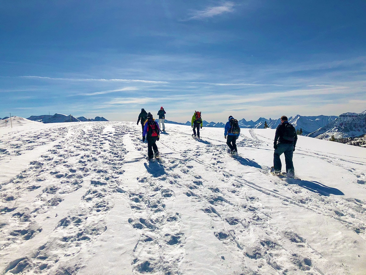 Snowshoeing on top of the world at Sunshine on a trail in the Canadian Rockies