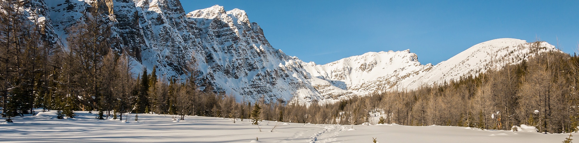 Snowshoeing in Banff National Park