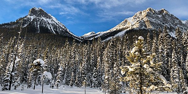 XC skiing trails in Banff National Park, Canada