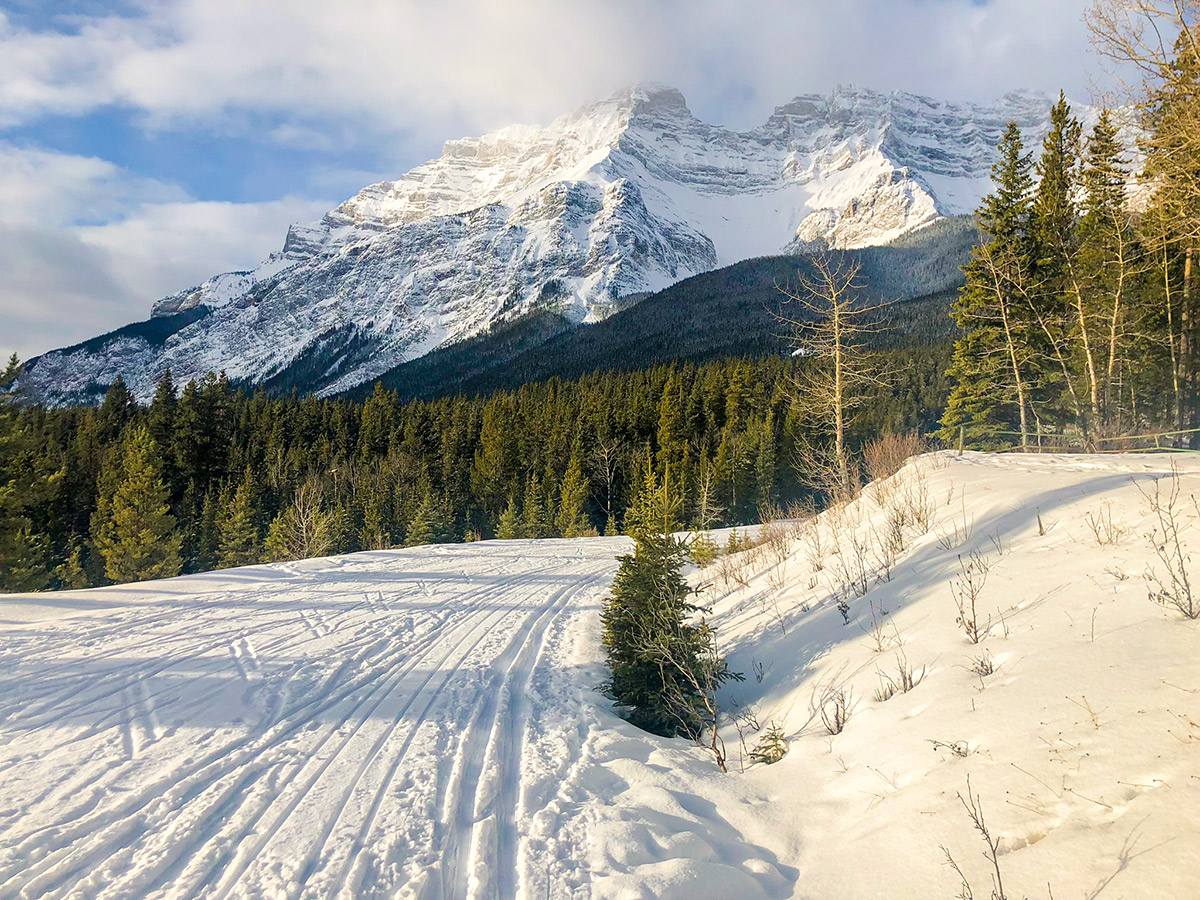 Beautiful views on Cascade Valley XC ski trail in Lake Louise, Banff National Park
