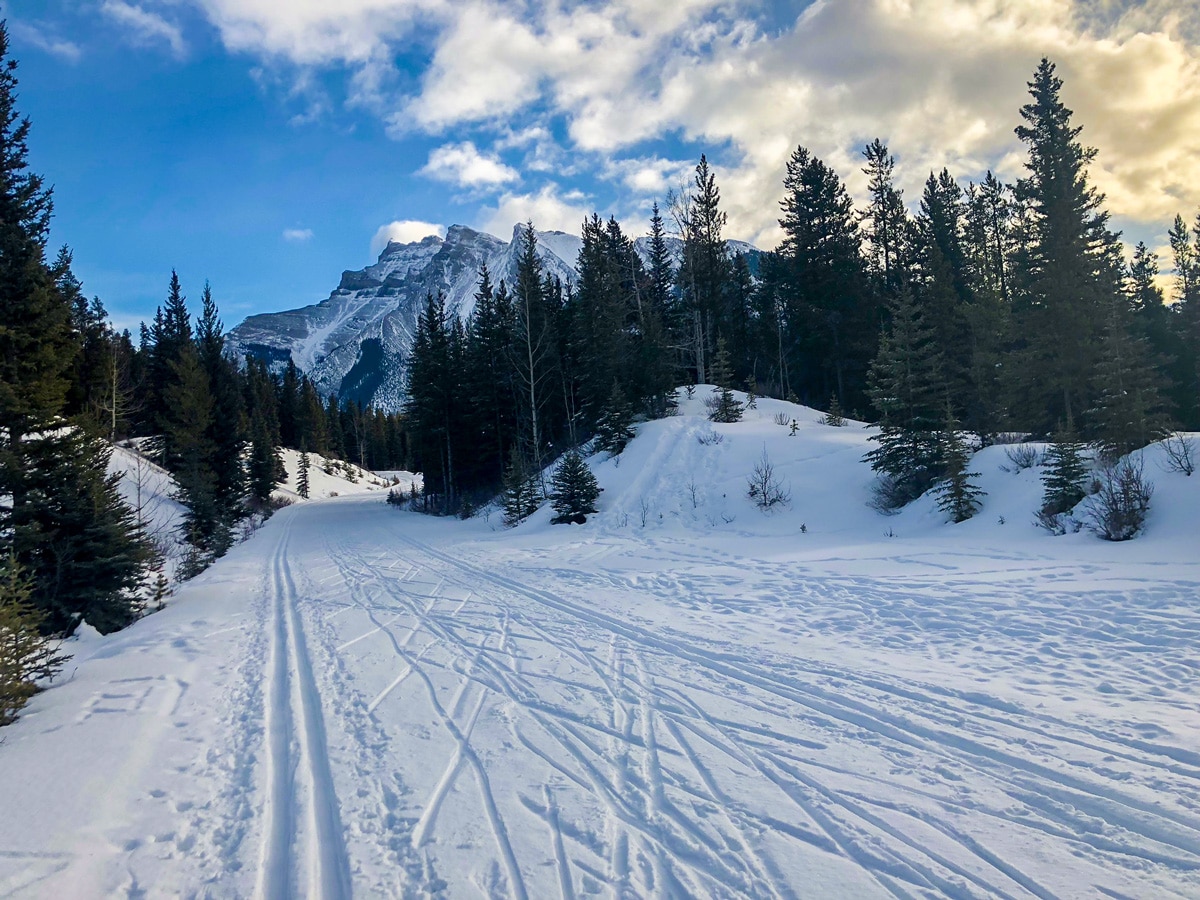 Beautiful day on Cascade Valley XC ski trail in Lake Louise, Banff National Park