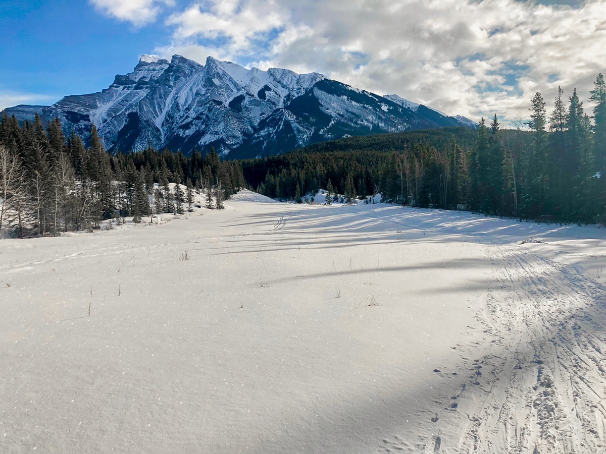 Great views on Cascade Valley XC ski trail in Lake Louise, Banff National Park