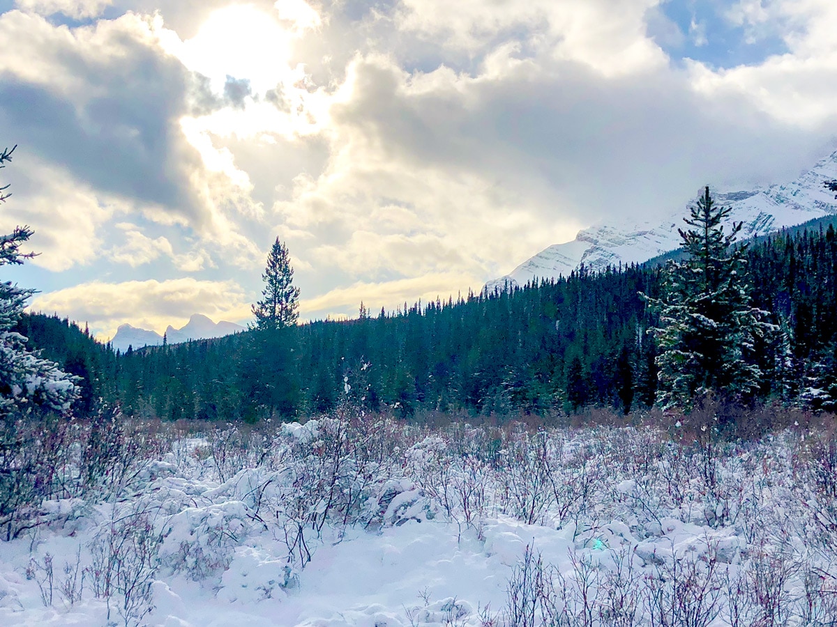 Winter views on Cascade Valley XC ski trail in Lake Louise, Banff National Park