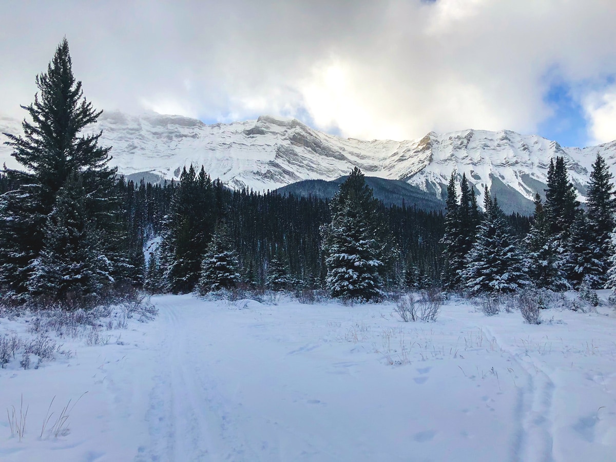 Scenery of Cascade Valley XC ski trail in Lake Louise, Banff National Park