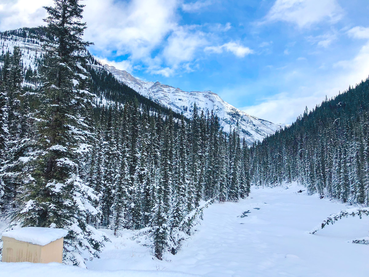 Stunning panorama on Cascade Valley XC ski trail in Lake Louise, Banff National Park