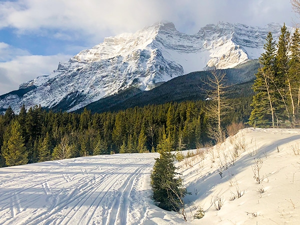 Scenery of Cascade Valley XC ski trail in Banff National Park, Alberta