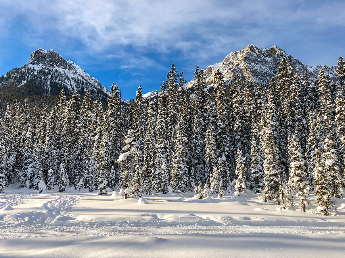 Fairview and Saddleback on Fairview Loop XC ski trail in Lake Louise, Banff National Park