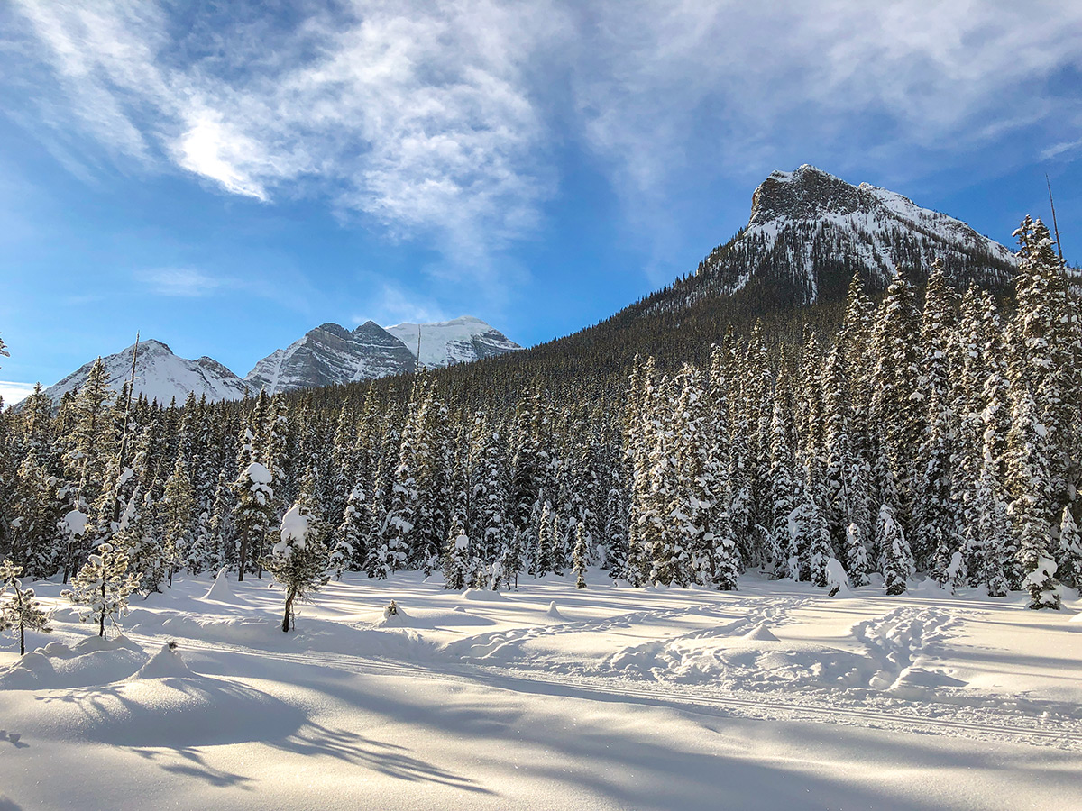 Saddleback and Temple on Fairview Loop XC ski trail in Lake Louise, Banff National Park