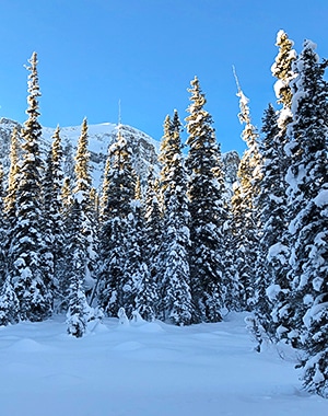 Fairview Loop XC ski trail in Banff National Park, Alberta