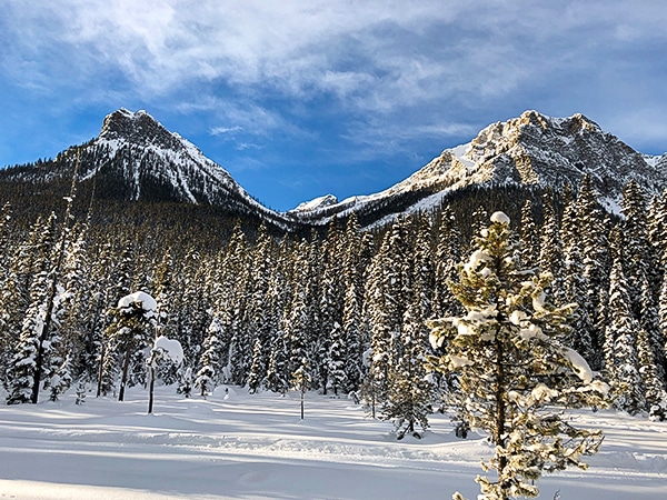 Scenery of Fairview Loop XC ski trail in Banff National Park, Alberta