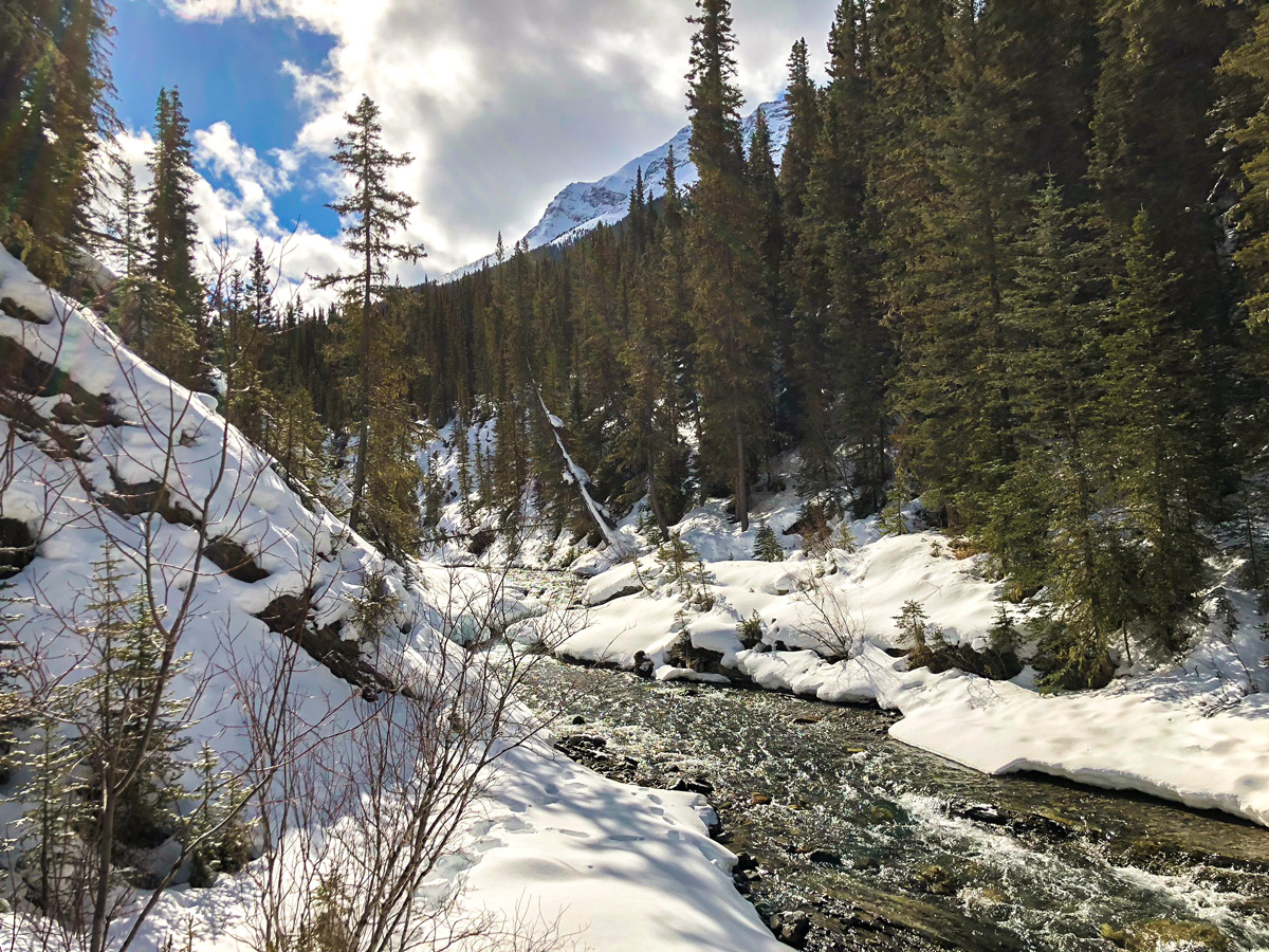 Views from the bridge on Goat Creek to Banff Springs XC ski trail in Banff National Park