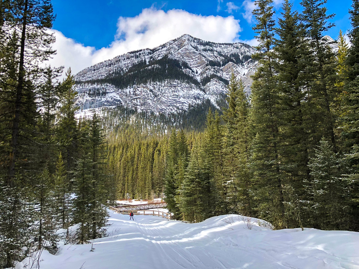 Skiing on Goat Creek to Banff Springs XC ski trail in Banff National Park