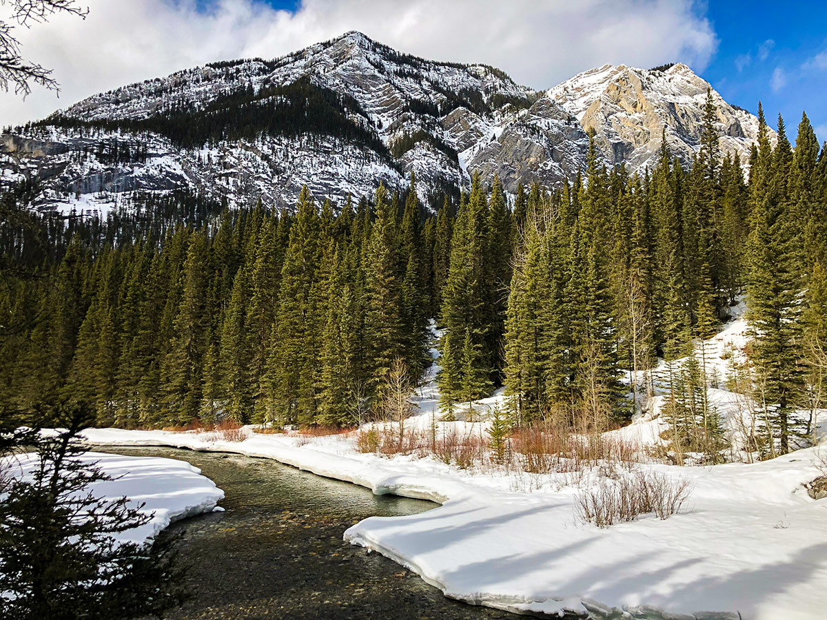 Winter on Goat Creek to Banff Springs XC ski trail in Banff National Park