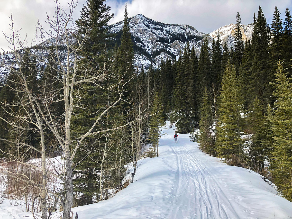 Getting close to Banff on Goat Creek to Banff Springs XC ski trail in Banff National Park