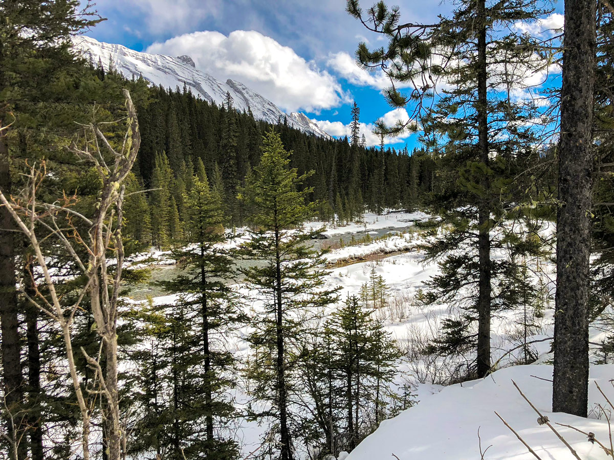 Spray River Valley on Goat Creek to Banff Springs XC ski trail in Banff National Park
