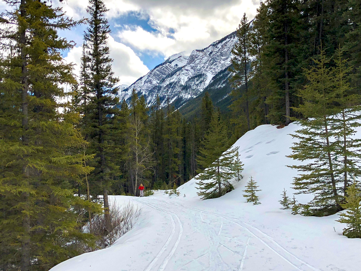End of the trail on Goat Creek to Banff Springs XC ski trail in Banff National Park