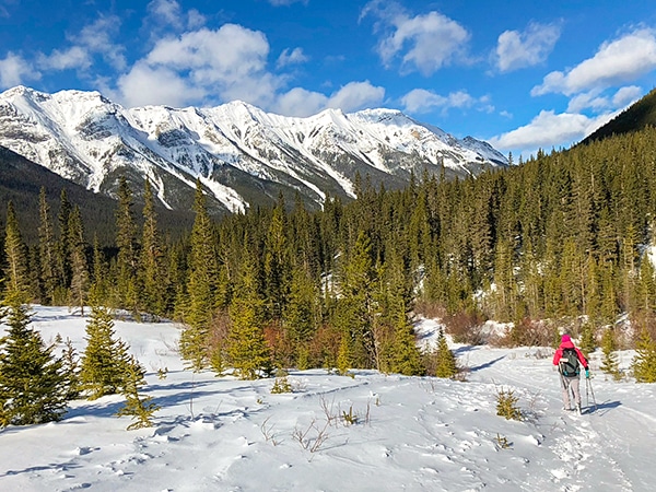 Scenery of Goat Creek to Banff Springs XC ski trail in Banff National Park, Alberta
