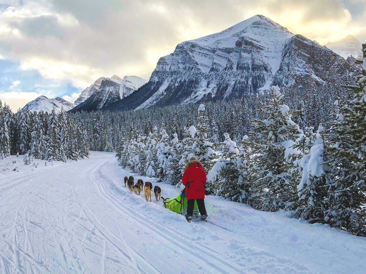 Beautiful views on Great Divide 1A XC ski trail in Lake Louise, Banff National Park