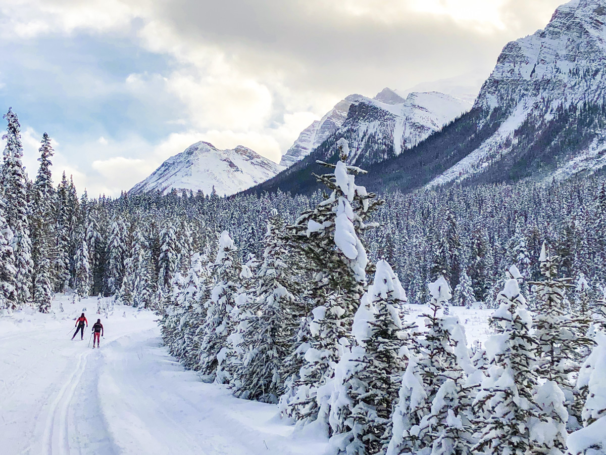 Stunning views on Great Divide 1A XC ski trail in Lake Louise, Banff National Park