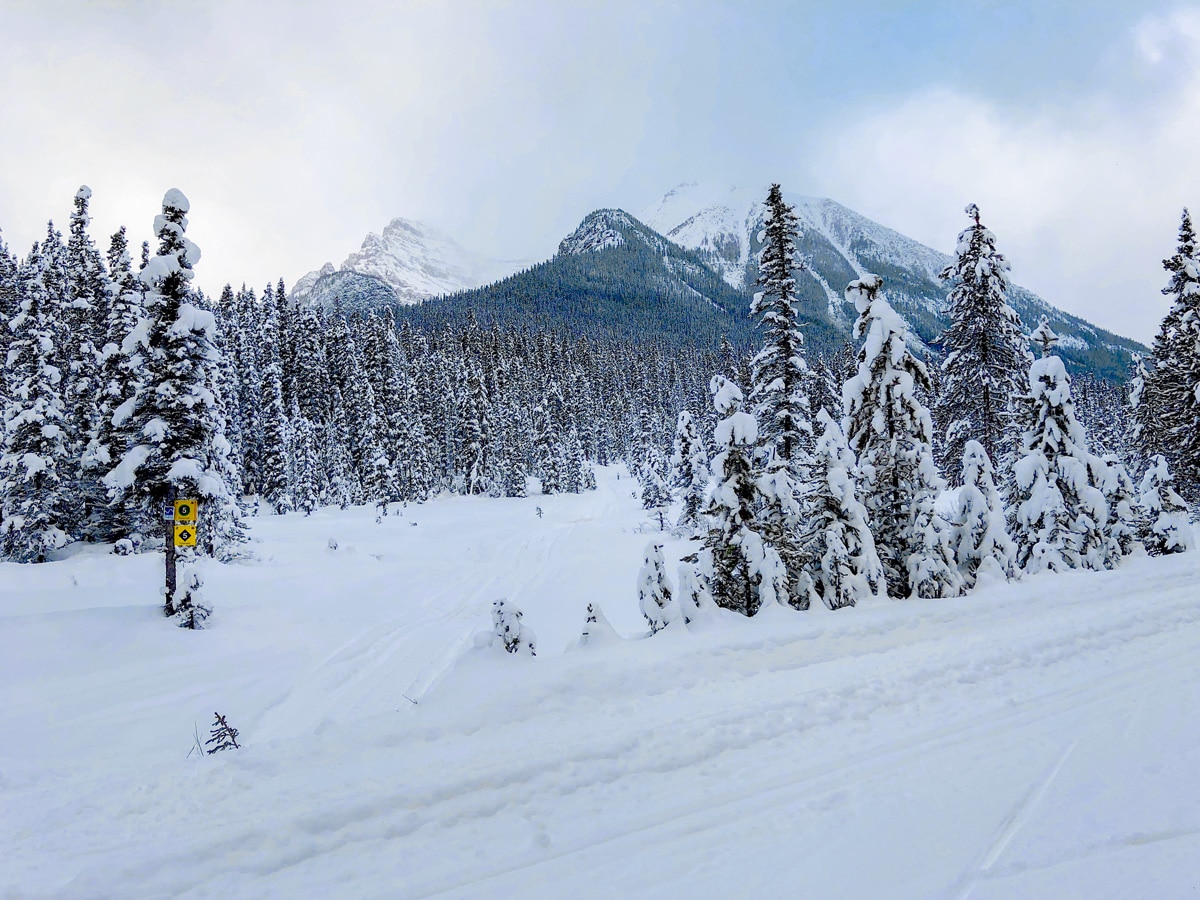 Wonderful view on Great Divide 1A XC ski trail in Lake Louise, Banff National Park