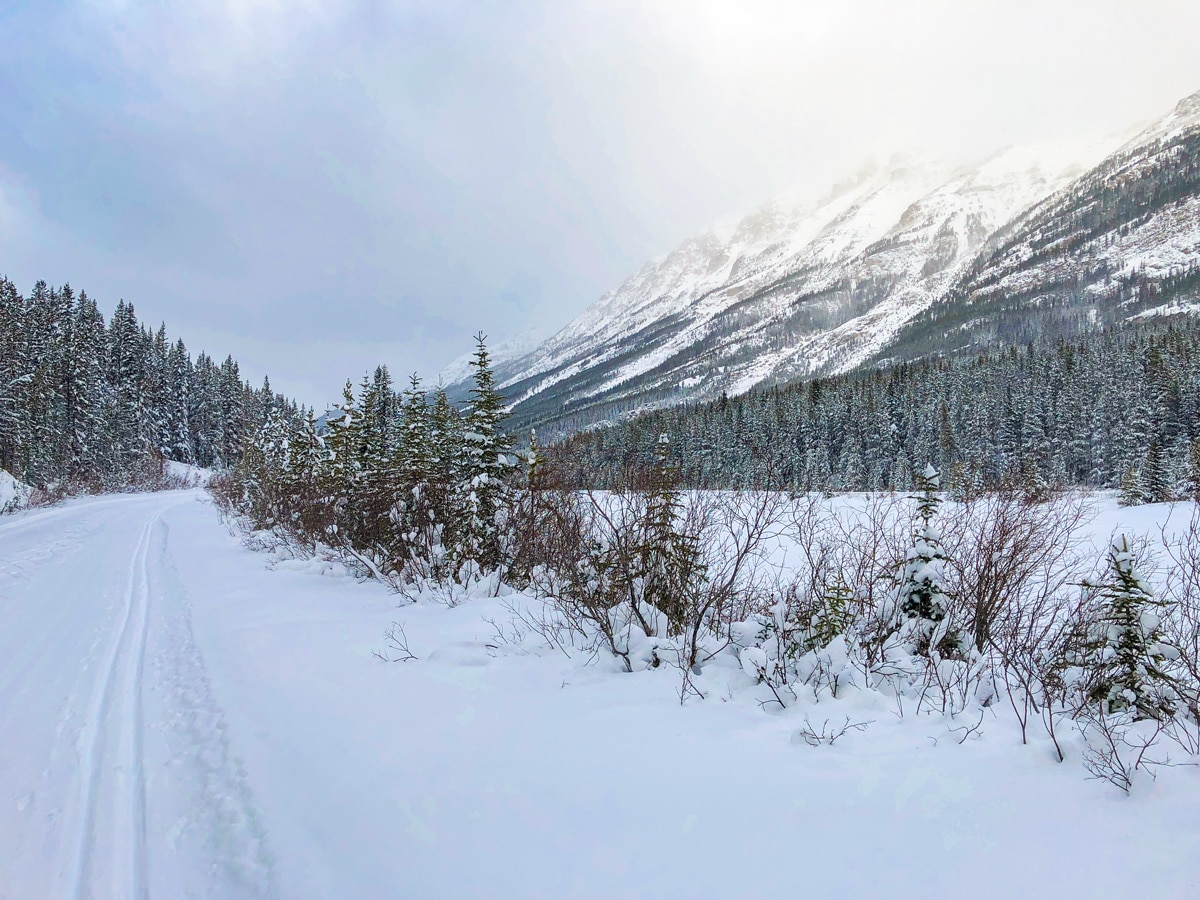 Beautiful scenery on Great Divide 1A XC ski trail in Lake Louise, Banff National Park