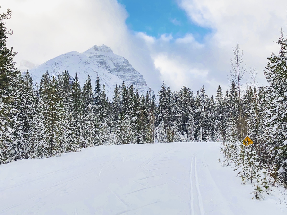 Scenery on Great Divide 1A XC ski trail in Lake Louise, Banff National Park