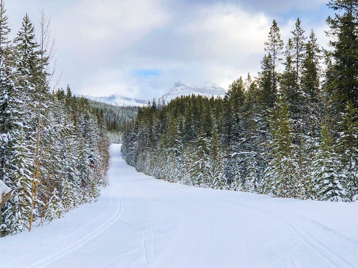 Winter views on Great Divide 1A XC ski trail in Lake Louise, Banff National Park