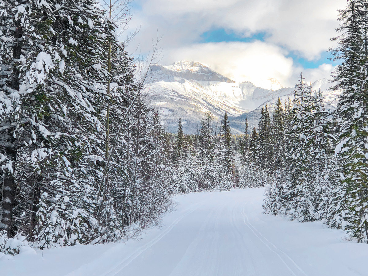 Wonderful panorama on Great Divide 1A XC ski trail in Lake Louise, Banff National Park