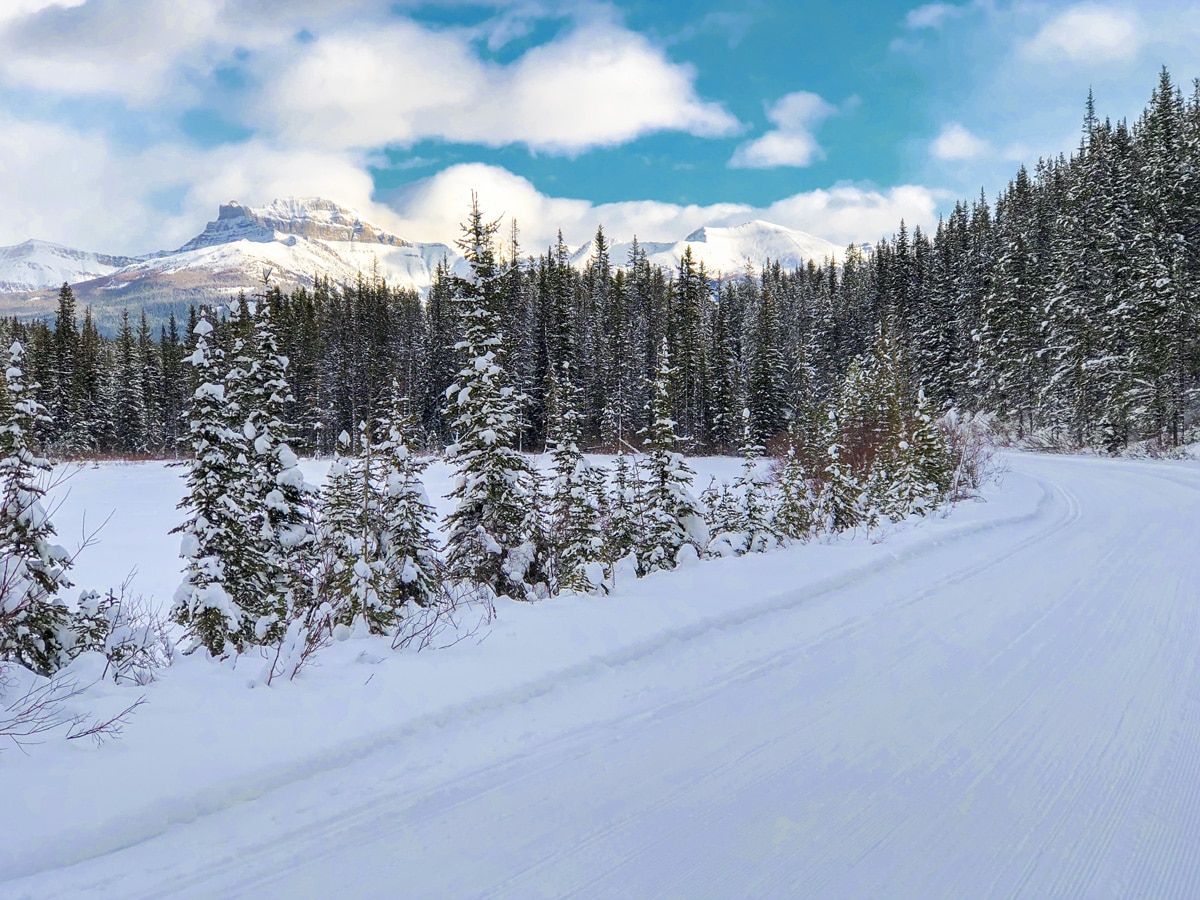 Great winter views on Great Divide 1A XC ski trail in Lake Louise, Banff National Park