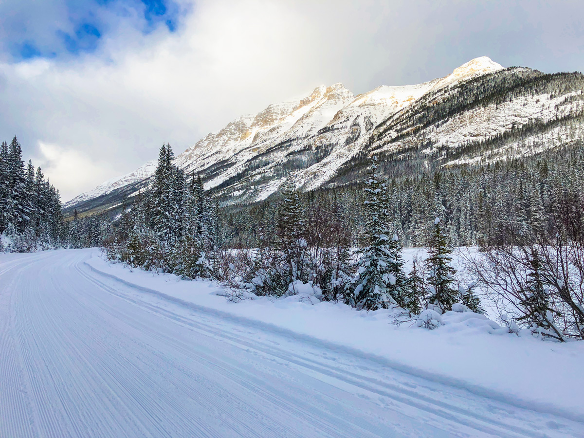 Views west on Great Divide 1A XC ski trail in Lake Louise, Banff National Park