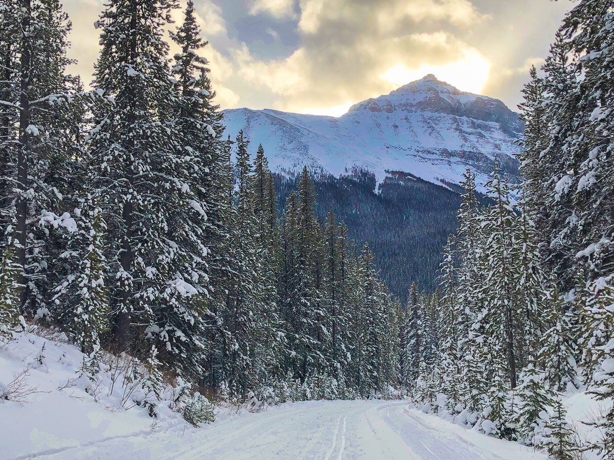 Views on Great Divide 1A XC ski trail in Lake Louise, Banff National Park
