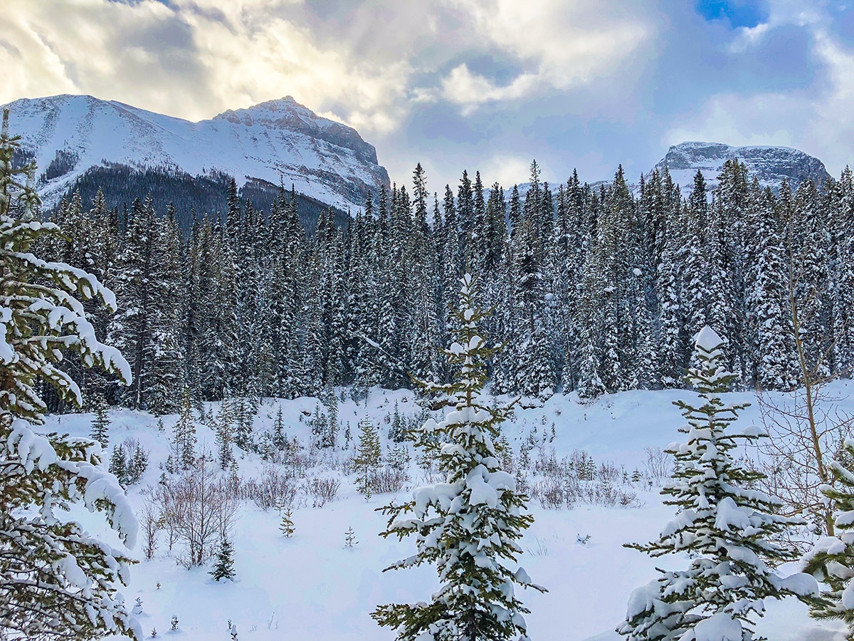 Secret viewpoint on Great Divide 1A XC ski trail in Lake Louise, Banff National Park
