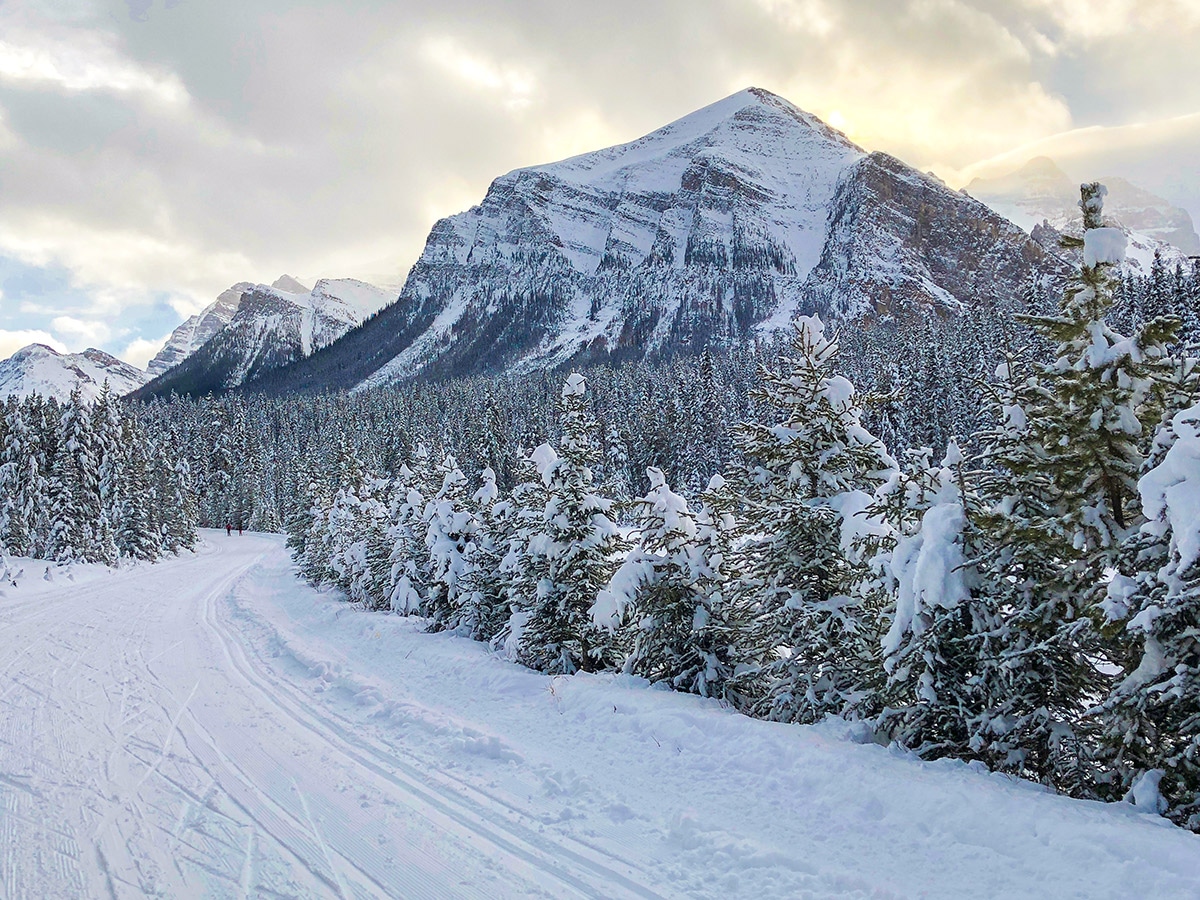 Mount Fairview on Great Divide 1A XC ski trail in Lake Louise, Banff National Park