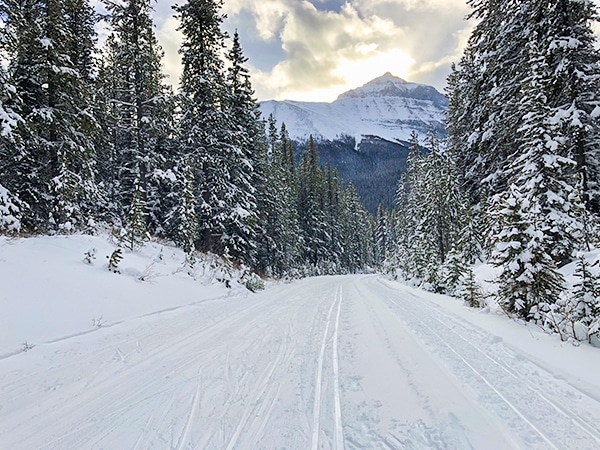 Scenery of Great Divide 1A XC ski trail in Banff National Park, Alberta