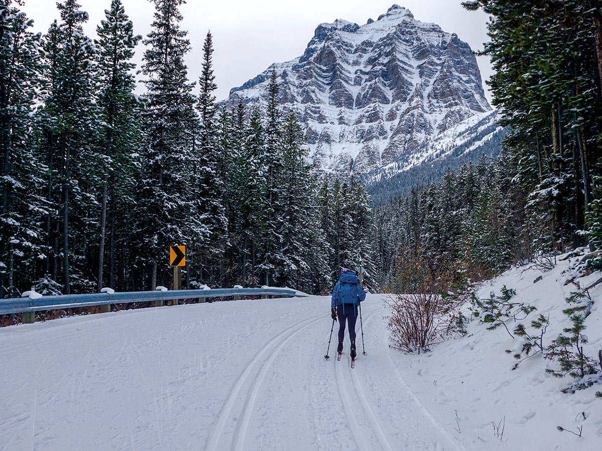 Great winter scenery on Moraine Lake Road XC ski trail in Lake Louise, Banff National Park
