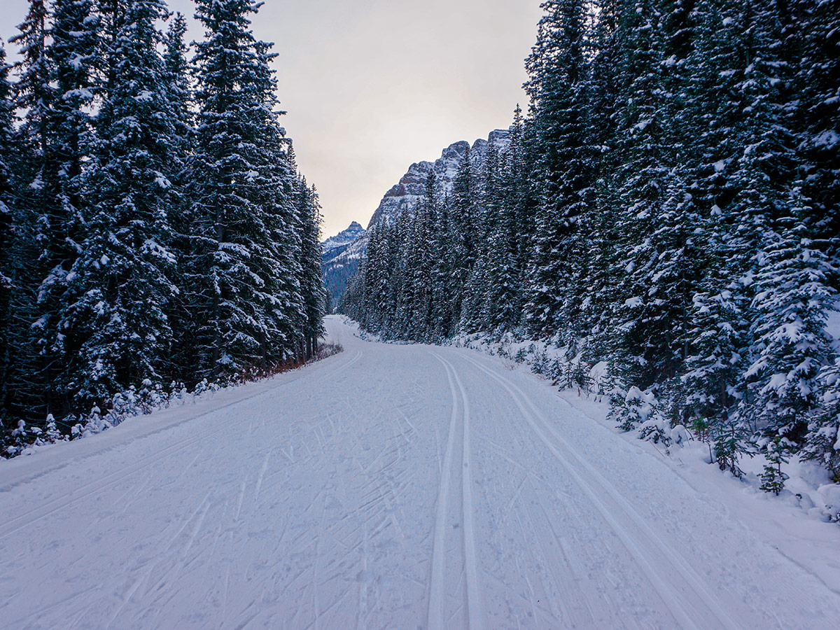 Tracks of Moraine Lake Road XC ski trail in Lake Louise, Banff National Park