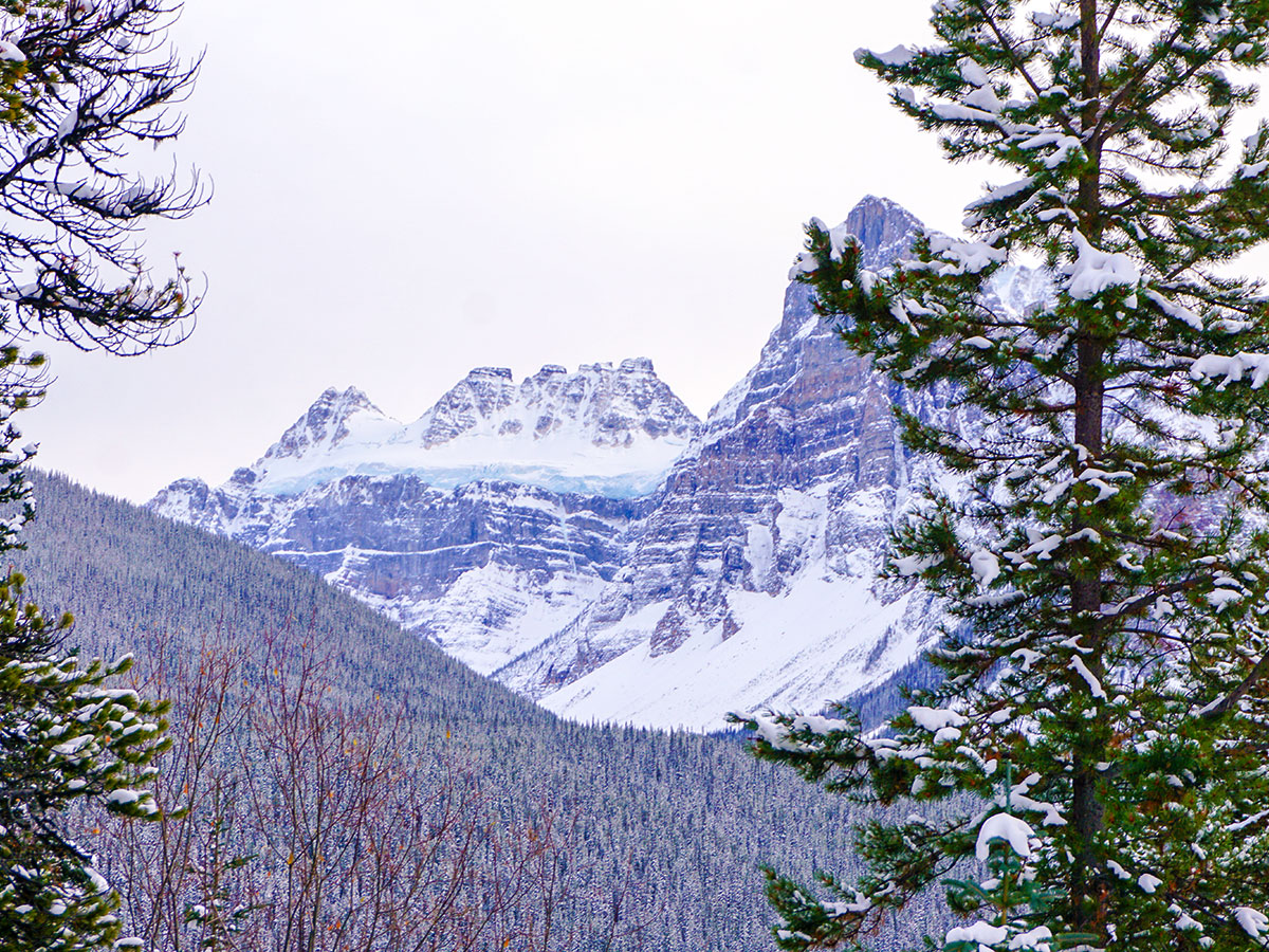Stunning glacier views on Moraine Lake Road XC ski trail in Lake Louise, Banff National Park
