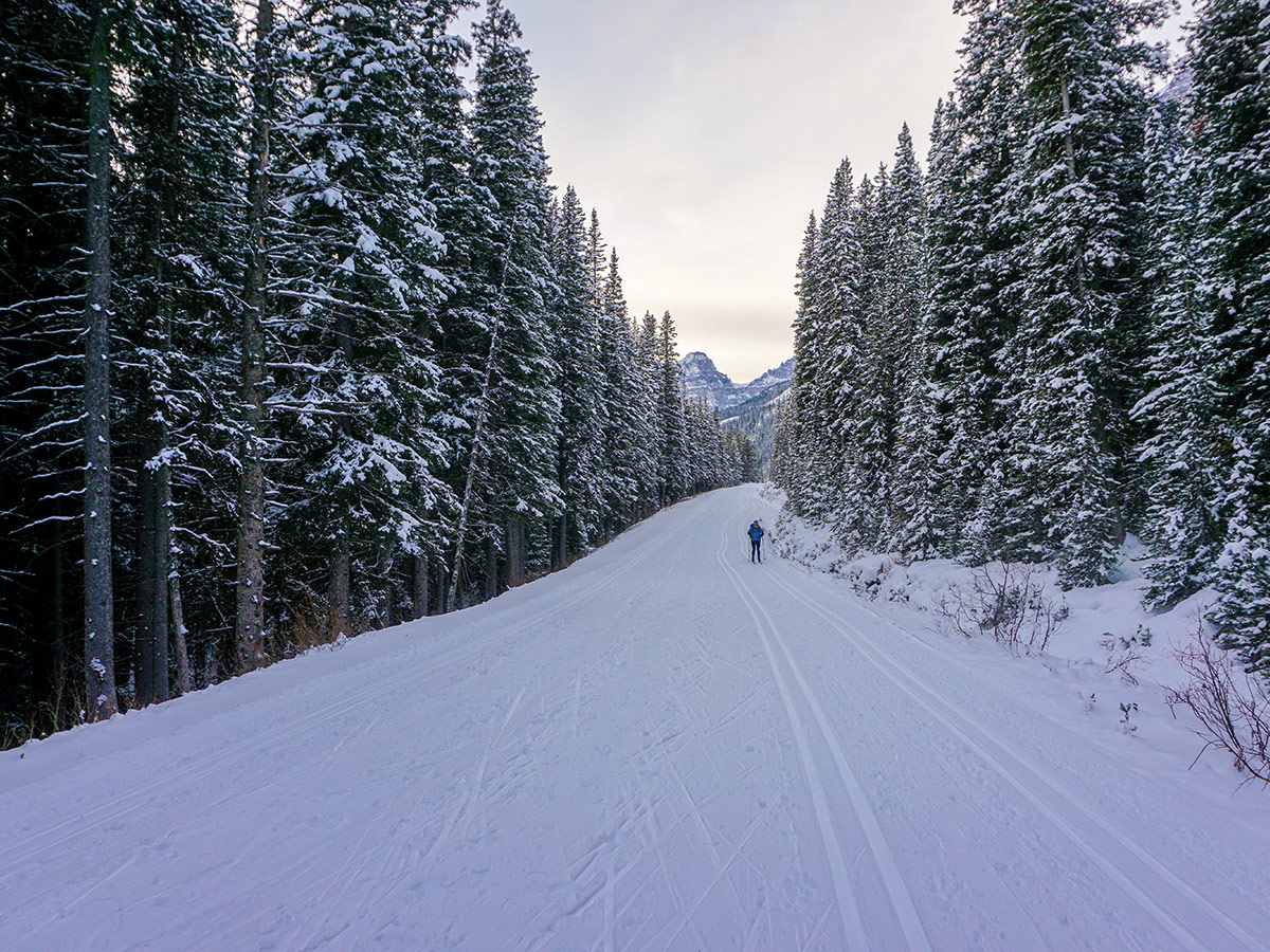 Snowy path of Moraine Lake Road XC ski trail in Lake Louise, Banff National Park